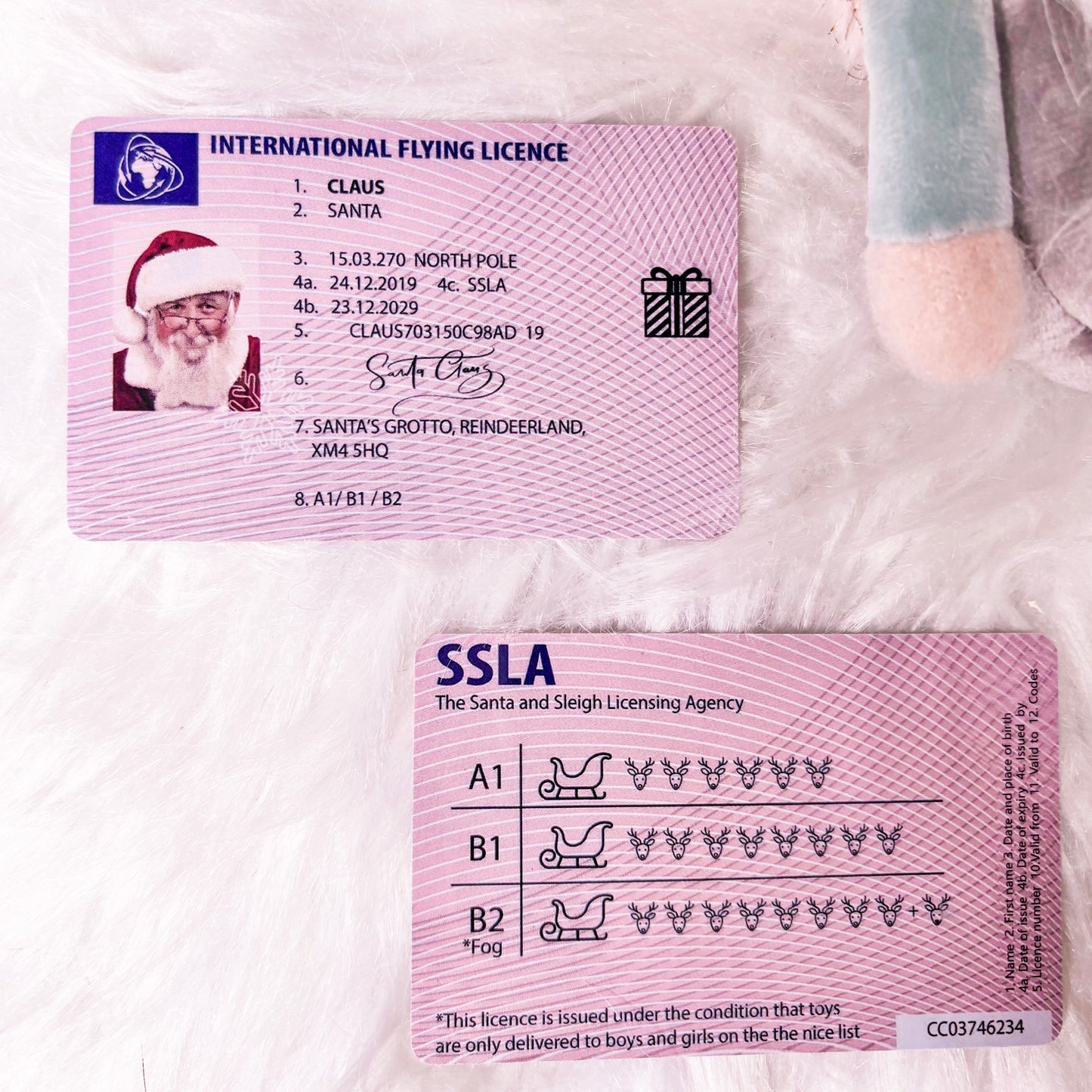 Santa's Flying License