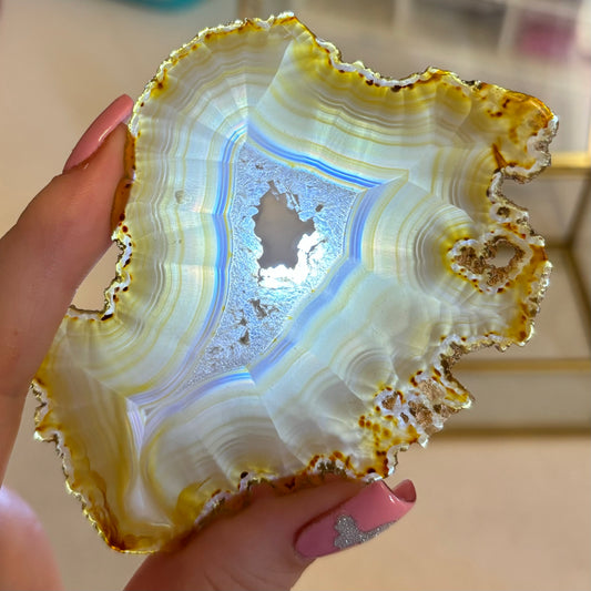 Iris Agate Slice | L